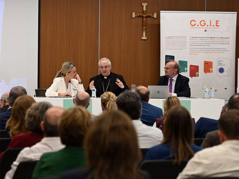 Pleno del CGIE con la participación de la ministra de Educación